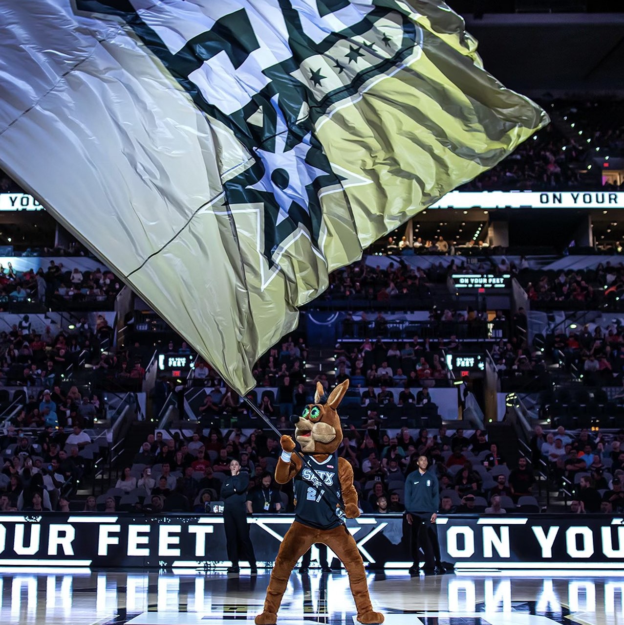 油脂机械预处理设备