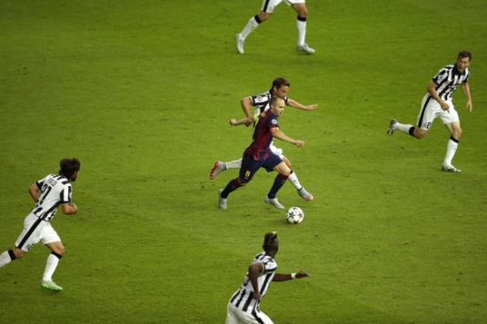 如何选择核桃油